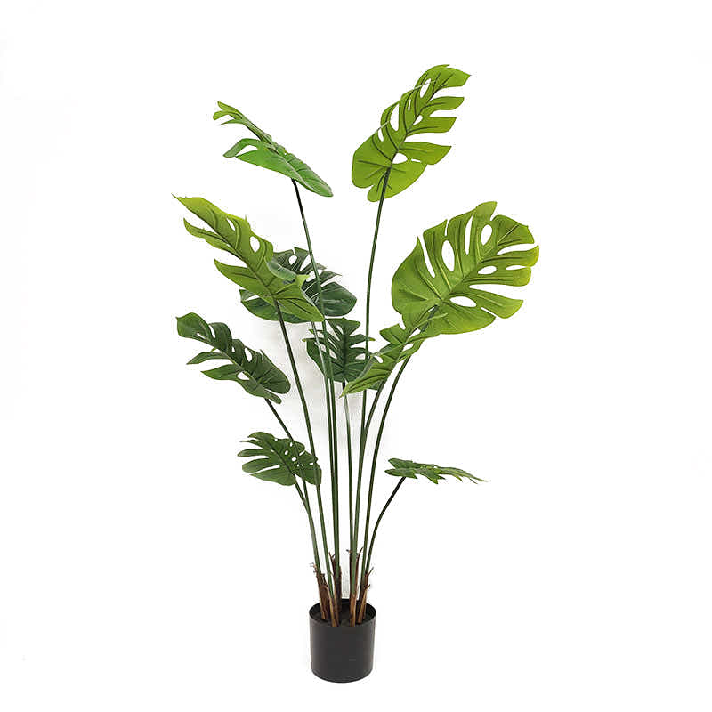 DS BS Artificial Plastic Tropical Palm Tree Monstera-150CM