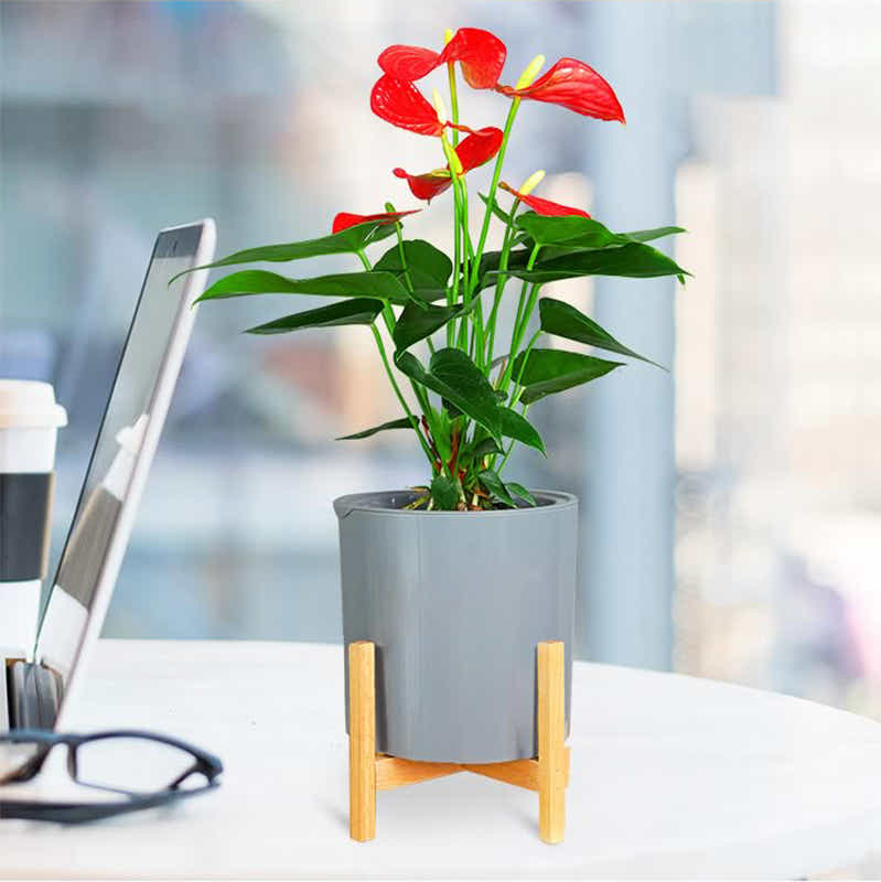 DS BS 3 Size Plant Pot Stand with Wood Rack