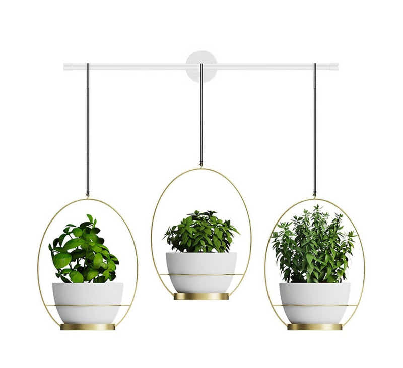 DS BS 3 Pot Wall Hanging Planters Kitchen Herb Rack-White