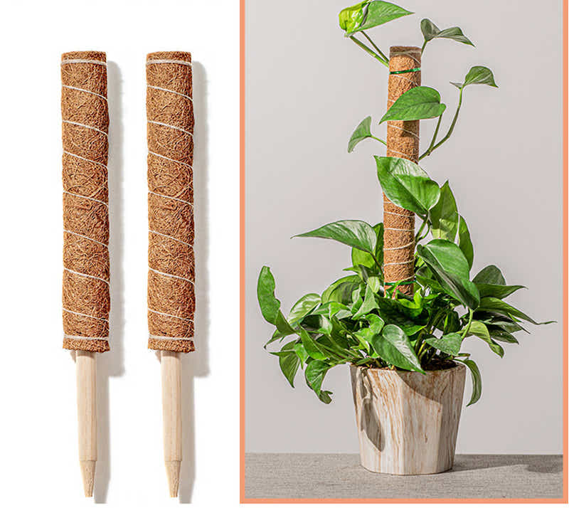 DS BS Coconut Liner Moss Rod for Climbing Plants 50cm 4 Pack