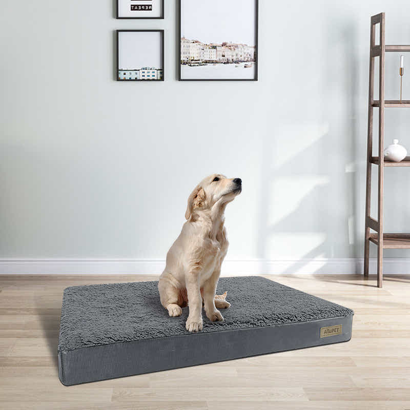 DS BS Egg-Crate Foam Dog Bed with Removable Washable Cover-L