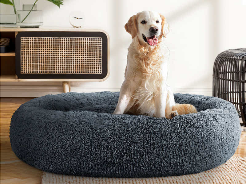MemFoam Pet Bed R30 Large