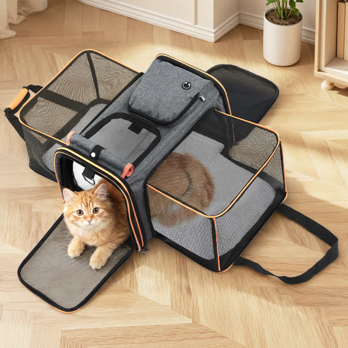 DS NA i.Pet Pet Carrier Bag Foldable Expandable Dog Cat Portable Car Kennel