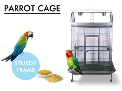 Iron Bird Cage with Playing Area - 186 cm
