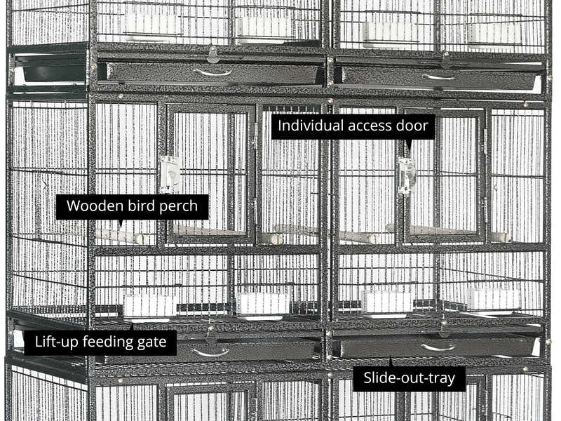 Iron Bird Cage with Six-cage Design - 209 cm