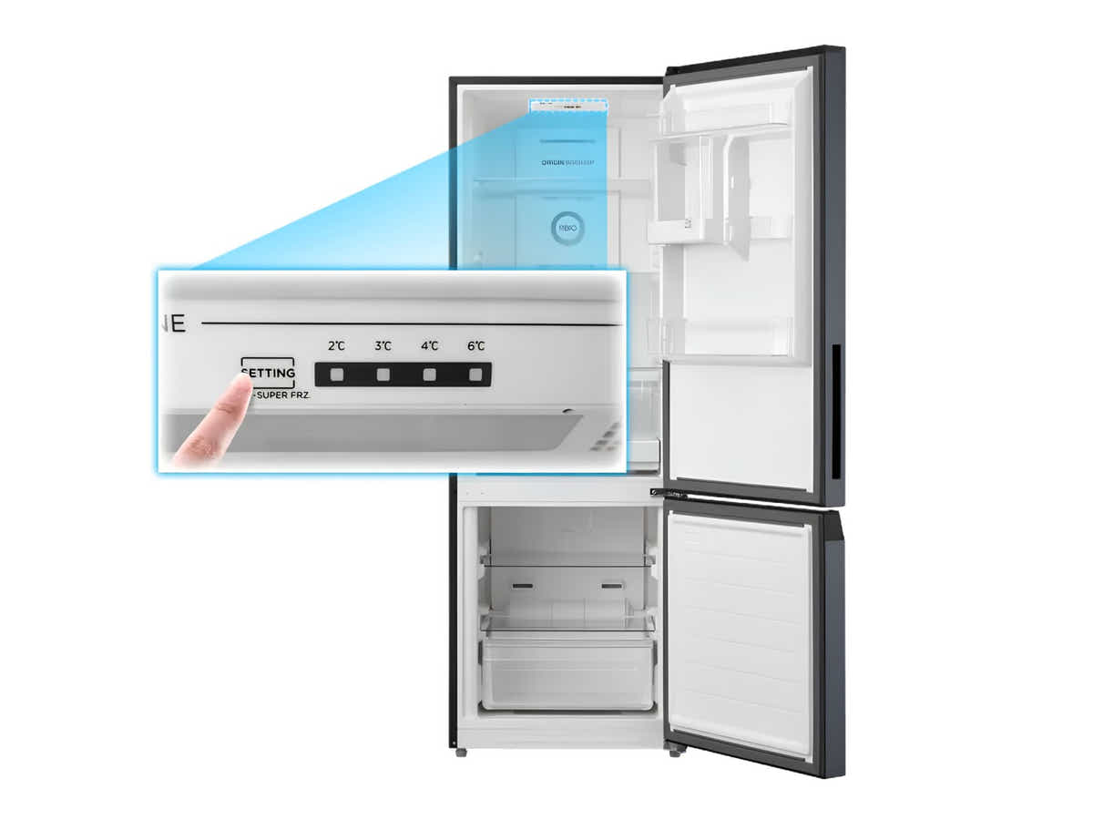 Toshiba 325 L Bottom Mount Fridge Freezer