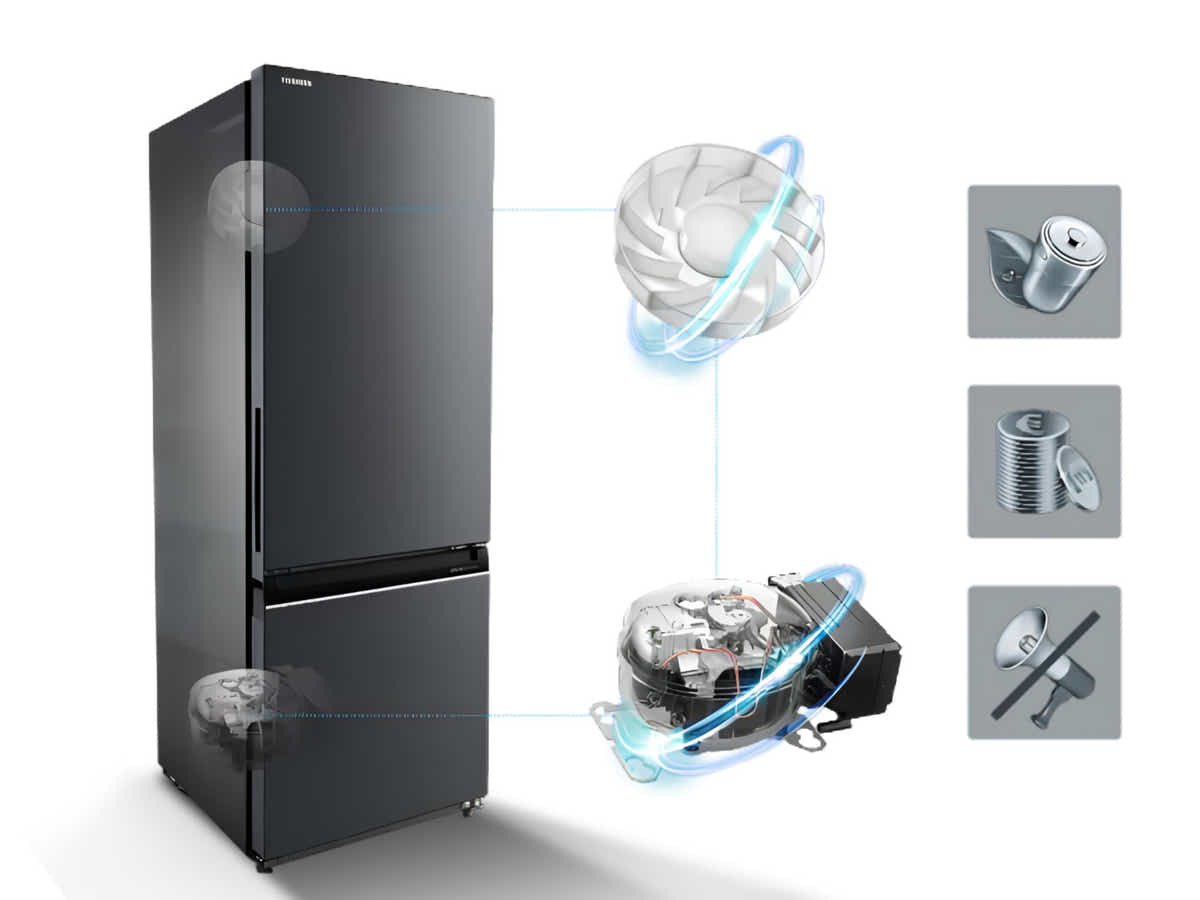 Toshiba 325 L Bottom Mount Fridge Freezer