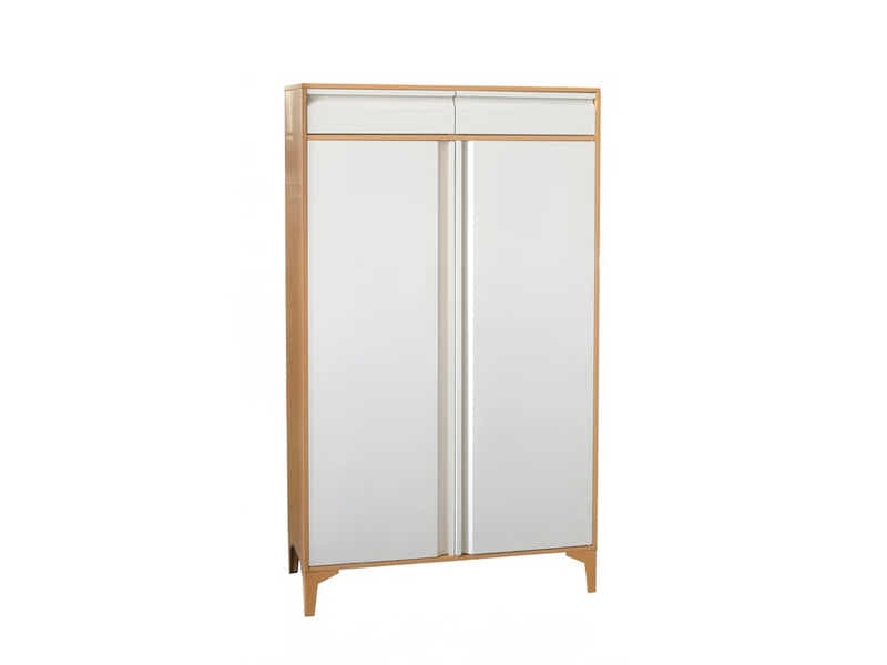 Lonna Steel 2-Door Shoe Cabinet With Drawers - White