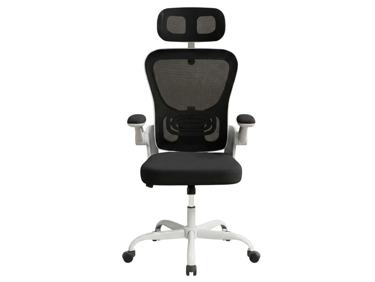 Molina Mesh Task Chair - White + Black