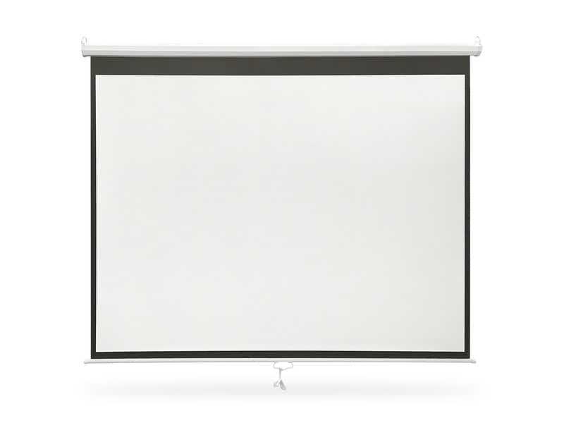 DS Projector Screen 100"