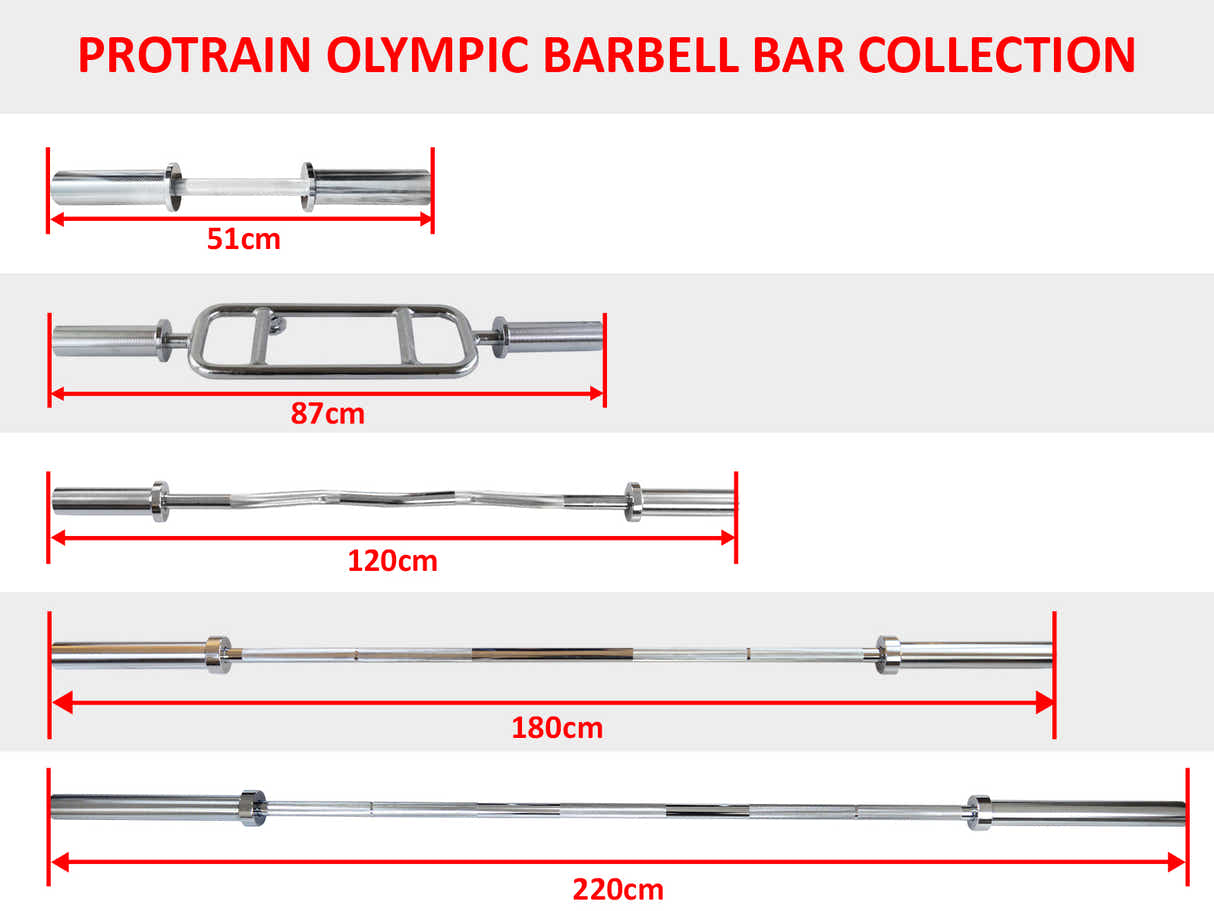 DS Olympic Bar Dumbbell Bar X2