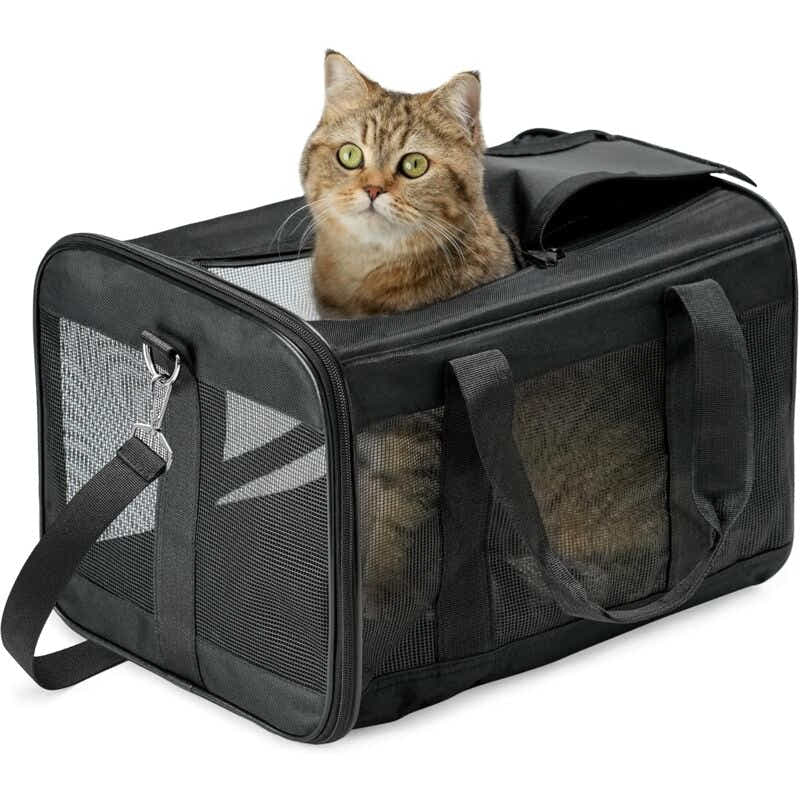 DS NA Pet Carrier Bag – Travel Carrier for Cats, Small Dogs, Kittens & Puppies