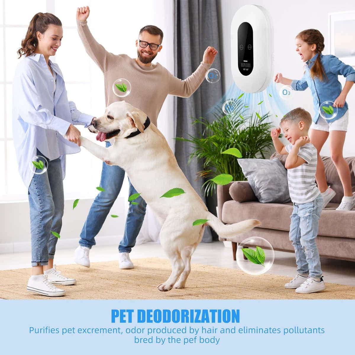 DS NA Air purifier Plug-in negative ion air purifier LED display