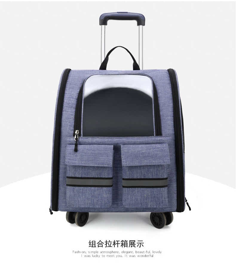 DS NA light Blue 3-in-1 Pet Carrier: Rolling Backpack with Collapsible Design