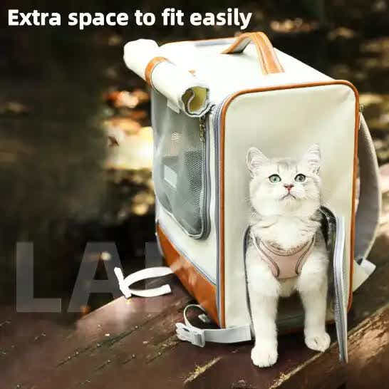 DS NA Grey Large Capacity Breathable Foldable Pet Trolley – Travel Cat Carrier