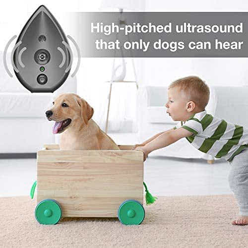 DS NA Automatic Ultrasonic Dog Bark Deterrent - Up to 50ft Range & Safe Frequency