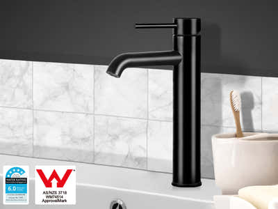 Black Basin Faucet Large