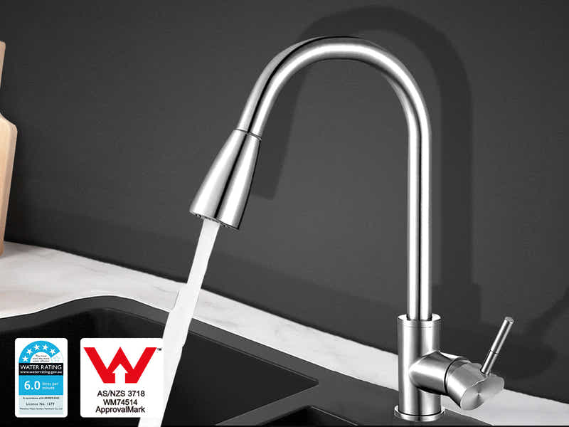 Silver Kitchen Faucet with Pull-out Spray