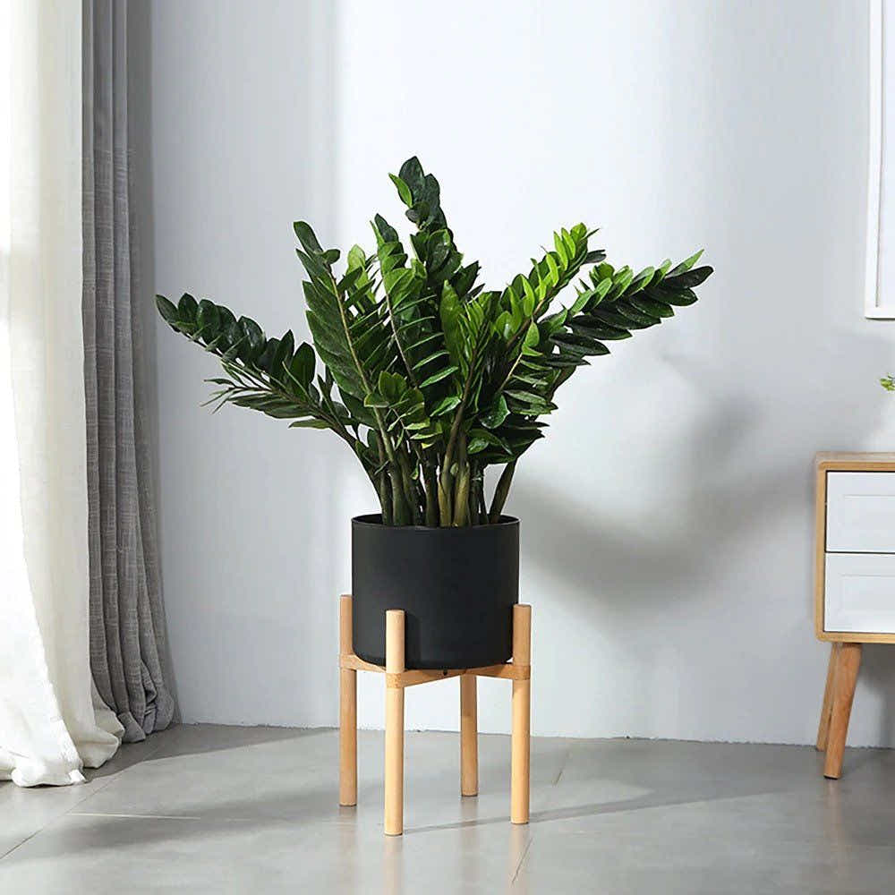 DS BS Modern Flower Pot with Display Potted Rack-White