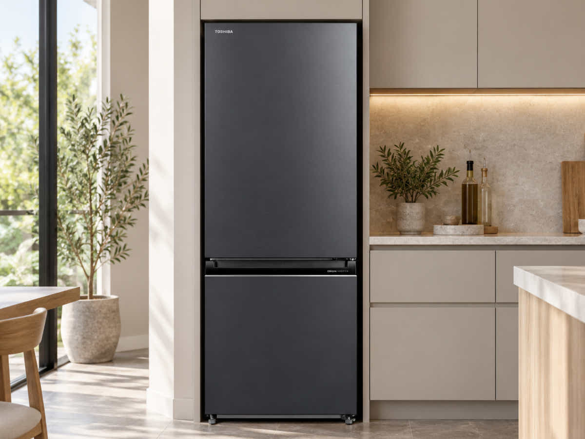 Toshiba 325 L Bottom Mount Fridge Freezer