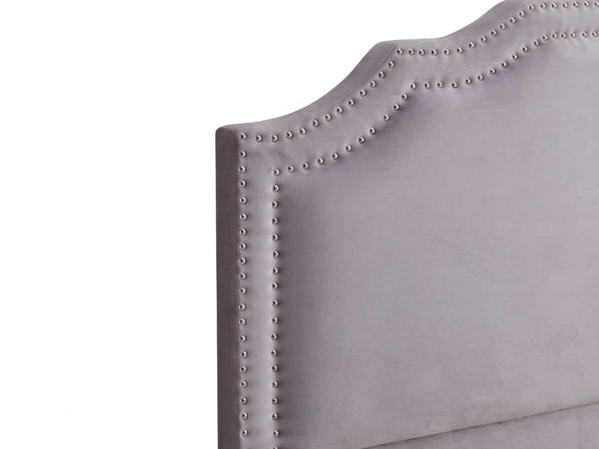 Lavaca Velvet Headboard Light Grey - Queen