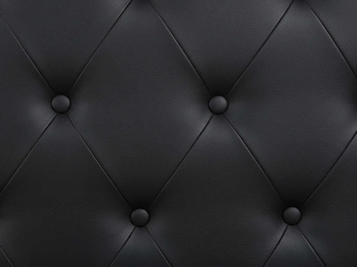 Raisa PU Headboard Black - Queen