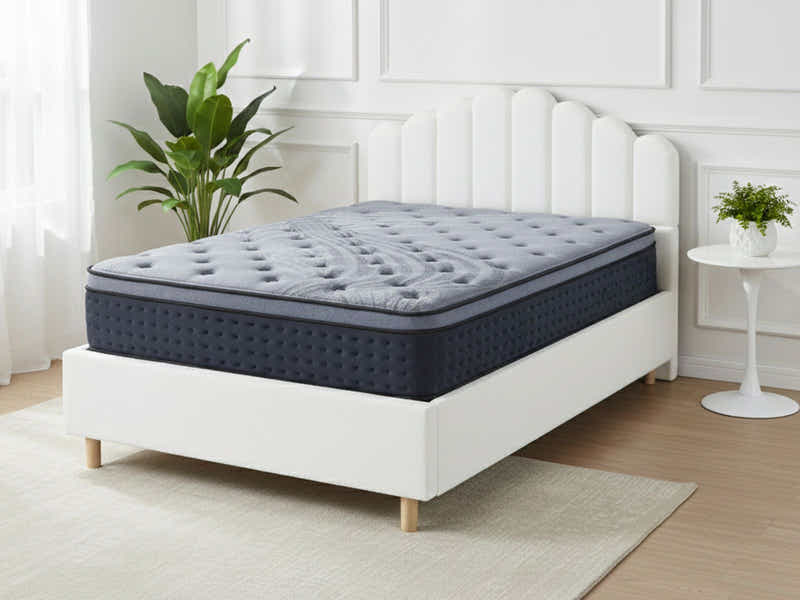 Shelley Boucle Bed Frame & Euro Top Mattress B34 - Queen (Combo)