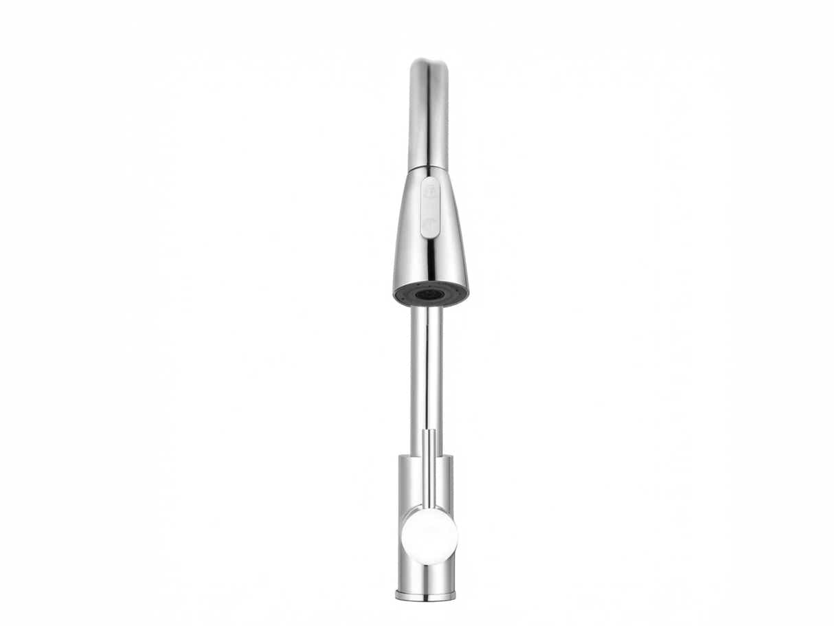 Silver Kitchen Faucet with Pull-out Spray