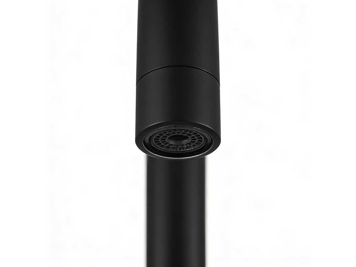 Black Kitchen Faucet - Gooseneck