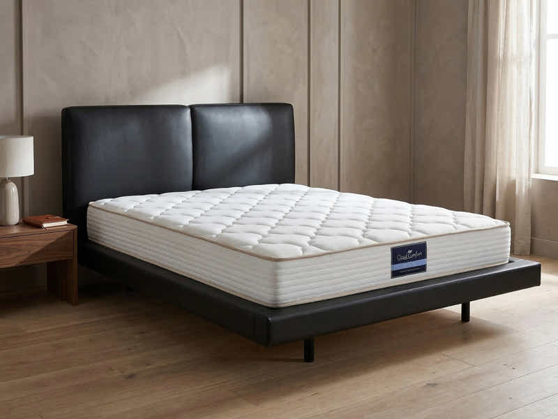 Priscilla PU Bed Frame Black & PIL20 Mattress with Pillows - Queen