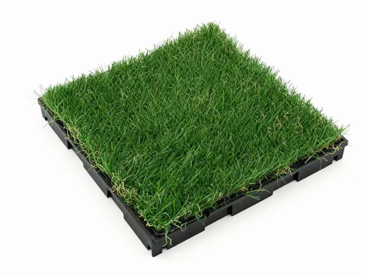 Multi-Colors 20 mm Artificial Grass Tiles - 30x30 cm (Pack of 12)