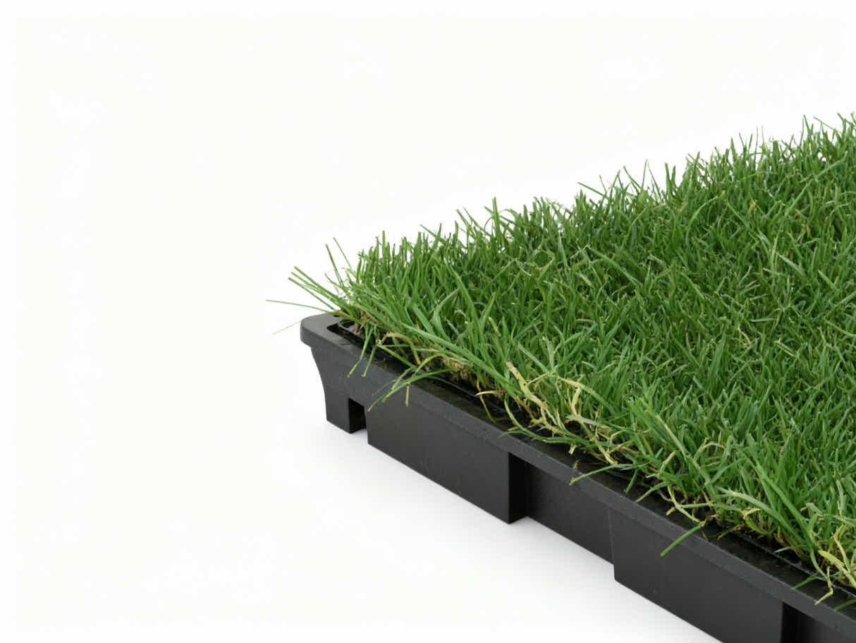 Multi-Colors 20 mm Artificial Grass Tiles - 30x30 cm (Pack of 12)