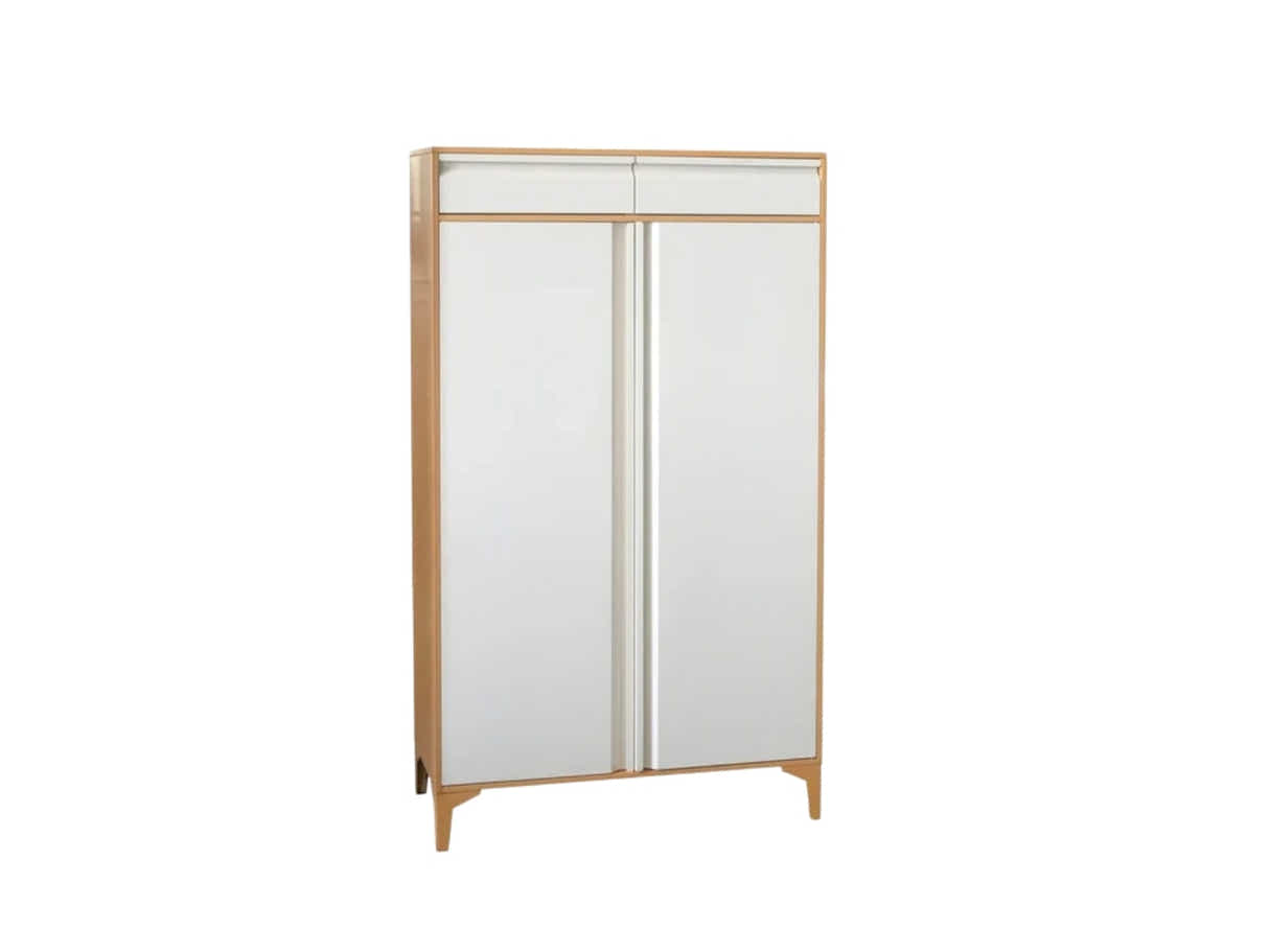 Lonna Steel 2-Door Shoe Cabinet With Drawers - White