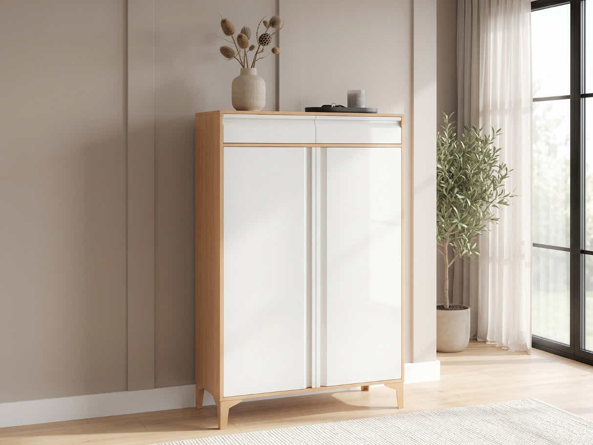 Lonna Steel 2-Door Shoe Cabinet With Drawers - White