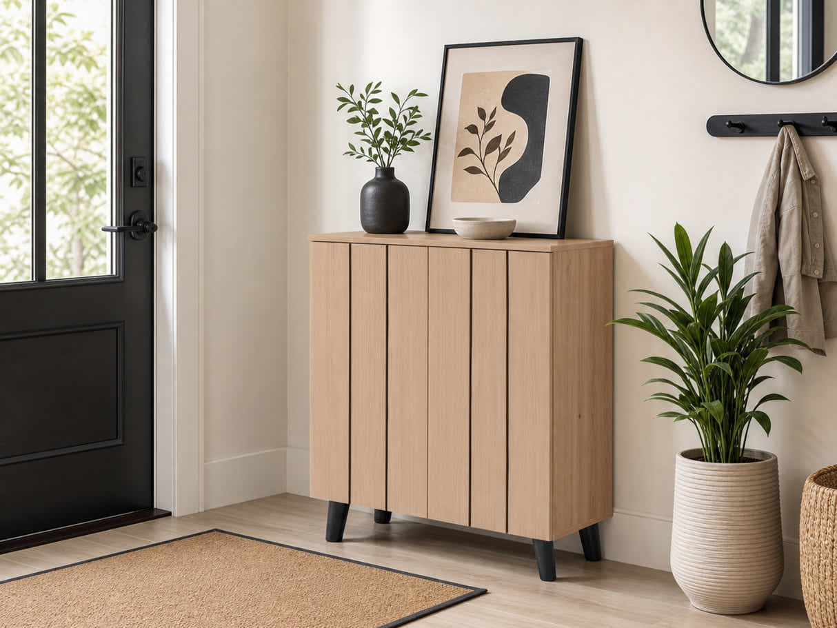 Laelia 2-Door Shoe Cabinet