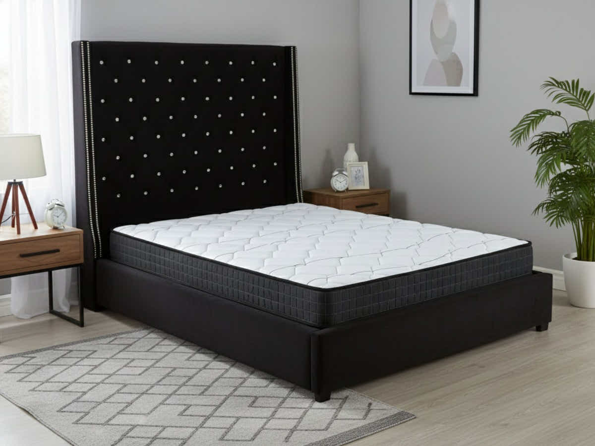 Aria Velvet Bed Frame Black & Xclusive Pocket Spring Mattress X20 Queen