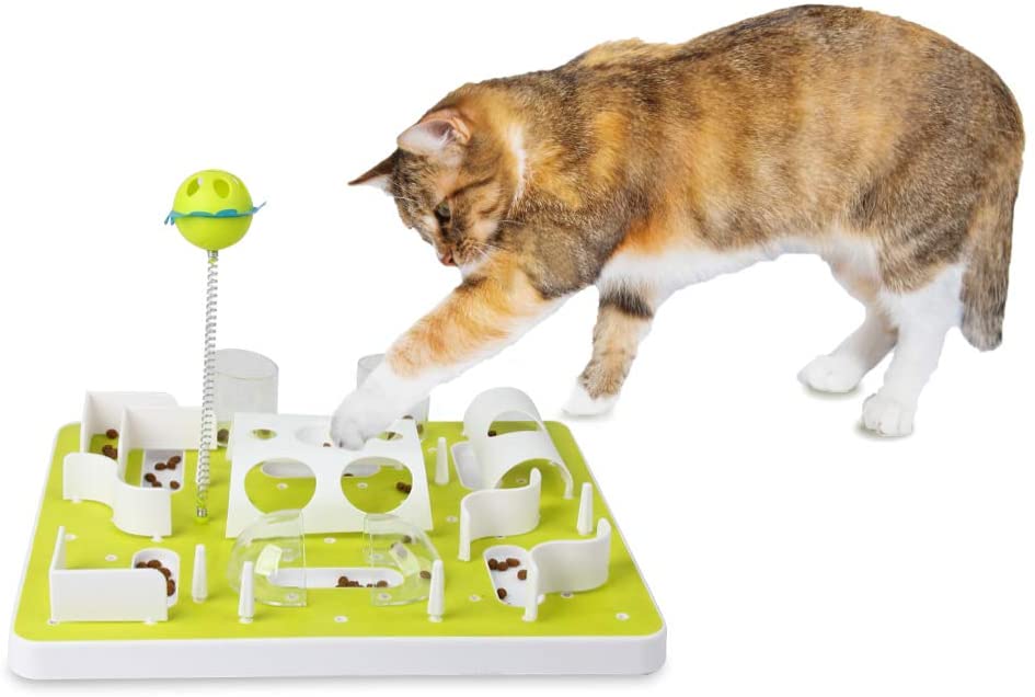 Cat sales treat maze