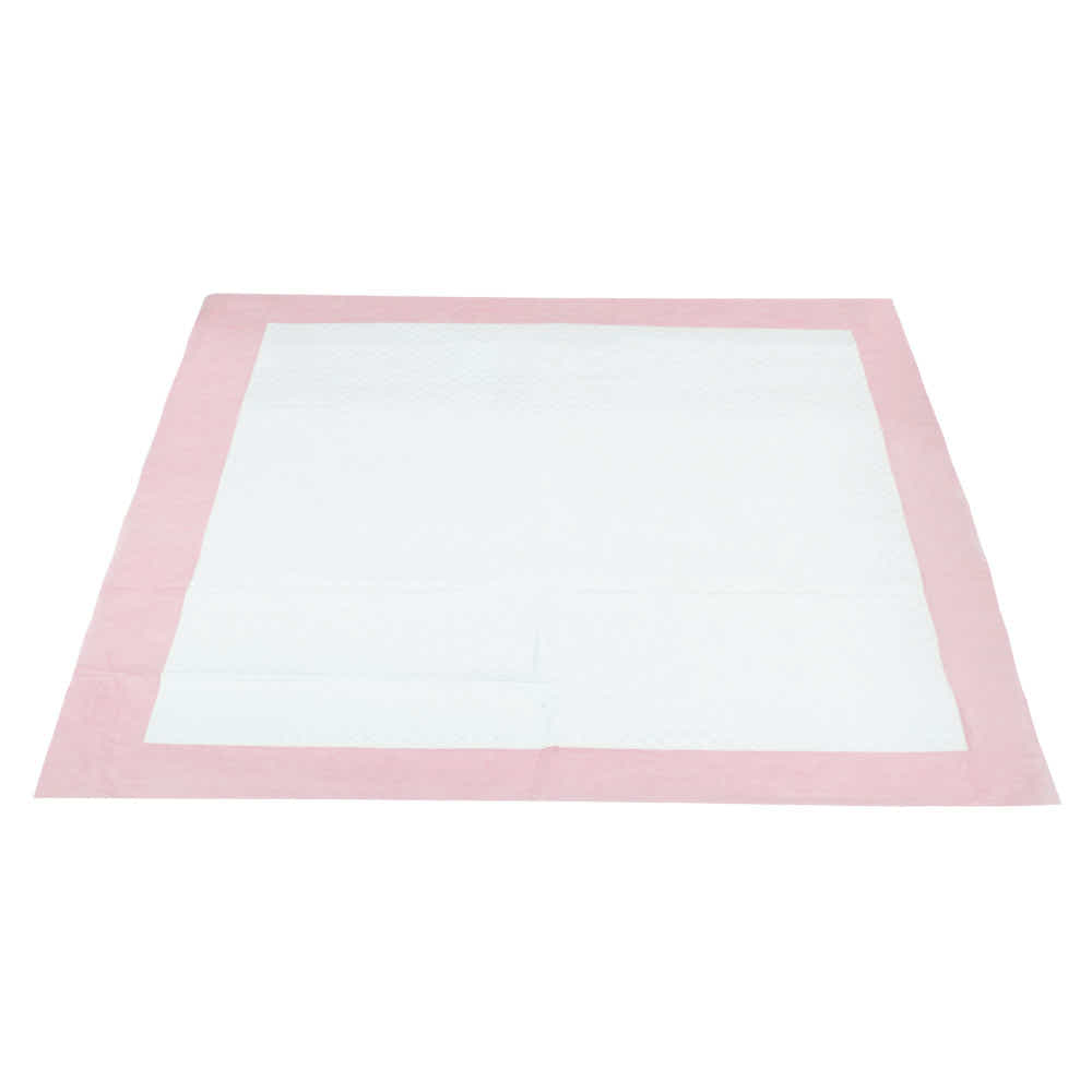 DS NA Pet Training Pads 200 Puppy Dog Cat Toilet Indoor 60x60cm Super Absorbent