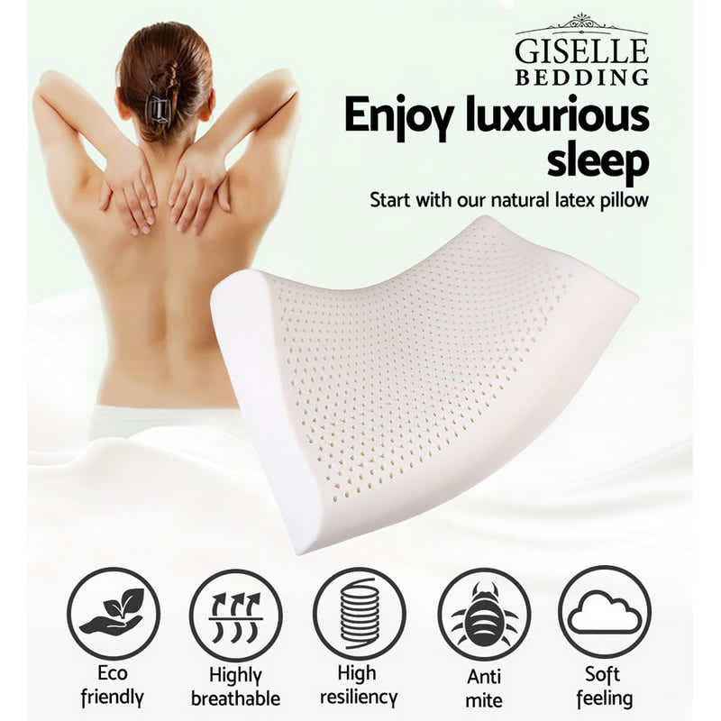 DS NA Giselle Latex Pillow Contour Latex Pillows Set of 2