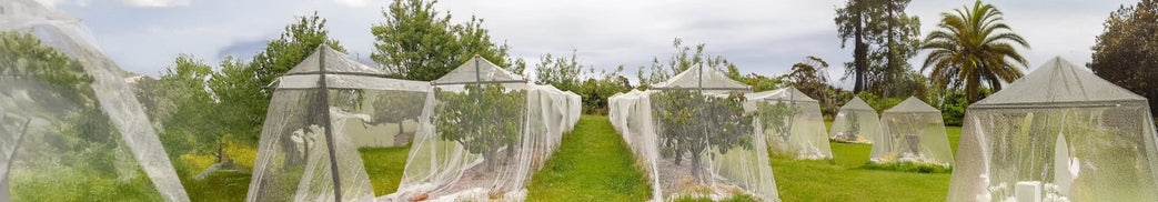 Anti-Bird Netting