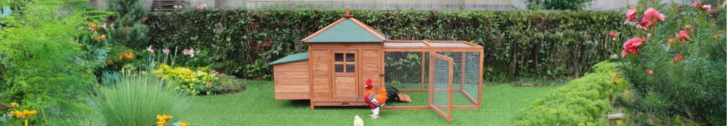 Chicken Coops
