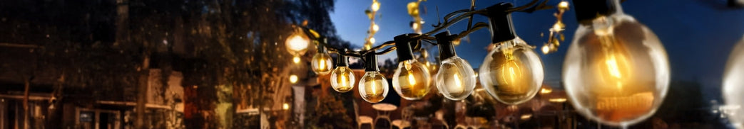 Festoon Lights