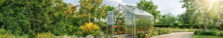 Green House