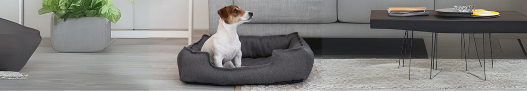 Dog Bed