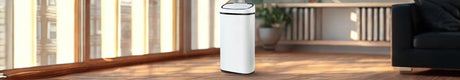 Bin