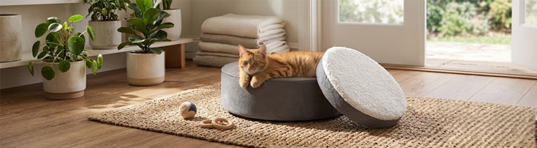 Beds & Baskets