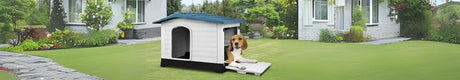 Dog Kennel