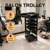 DS BD 6 Tier Hair Salon Trolley Spa Beauty Parlor Hairdressing Tool Rolling