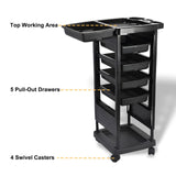 DS BD 6 Tier Hair Salon Trolley Spa Beauty Parlor Hairdressing Tool Rolling
