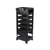 DS BD 6 Tier Hair Salon Trolley Spa Beauty Parlor Hairdressing Tool Rolling